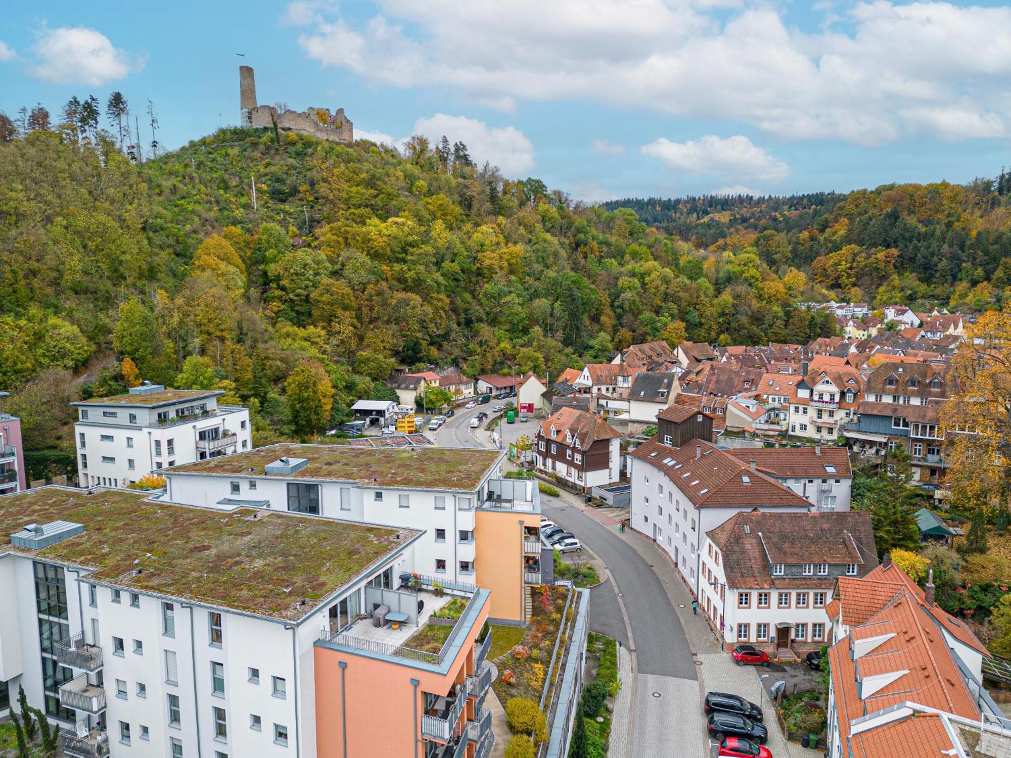 Lit Living Weinheim Altstadt - Boutique Apartments - Parking Exterior photo